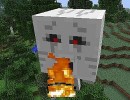 [1.7.10] Shape Shifter Z Mod Download