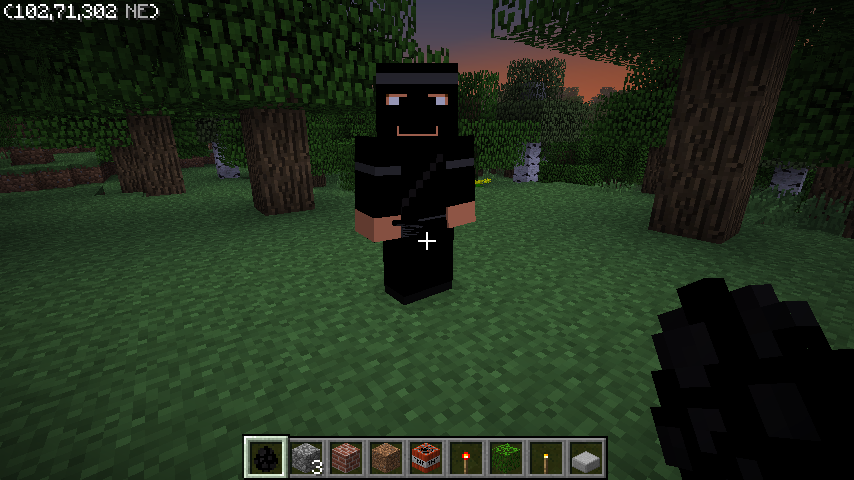 Ninjas Mod