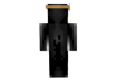 https://planetaminecraft.com/wp-content/uploads/2013/06/be722__Skylord-penguin-skin-1.png