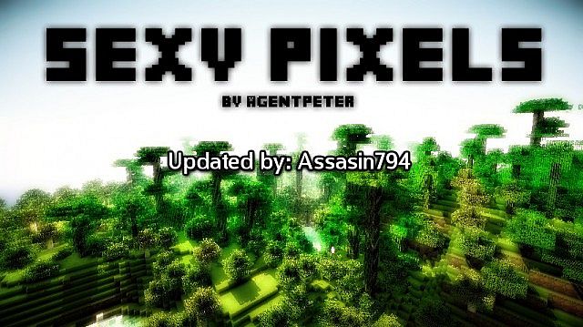 https://planetaminecraft.com/wp-content/uploads/2013/06/dc237__Sexy-pixels-texture-pack.jpg