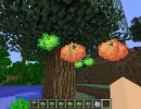 [1.6.1] FruitCraftory Mod Download