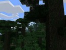 [1.7.2/1.6.4] [64x] CreativeX’s Realism Texture Pack Download