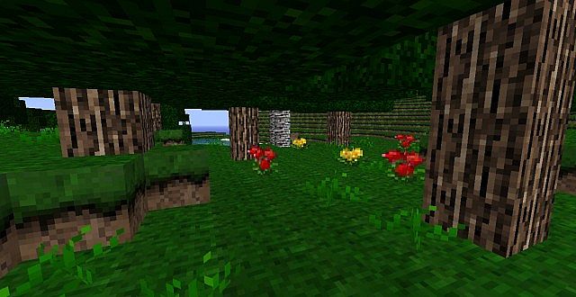 https://planetaminecraft.com/wp-content/uploads/2013/07/e865b__Echanium-craft-texture-pack-1.jpg