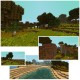[1.7.2/1.6.4] [16x] Thorns Texture Pack Download
