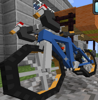 PokeCycle Mod