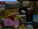 [1.9.4/1.8.9] [512x] Laacis2’s Nature Paintings Texture Pack Download