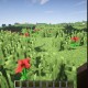 [1.7.10] Screenshot Diary Mod Download