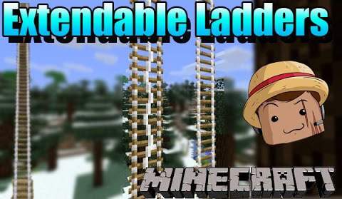 Extendable-Ladders-Mod.jpg