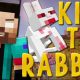 [1.8] Kill The Rabbit Minigame Map Download