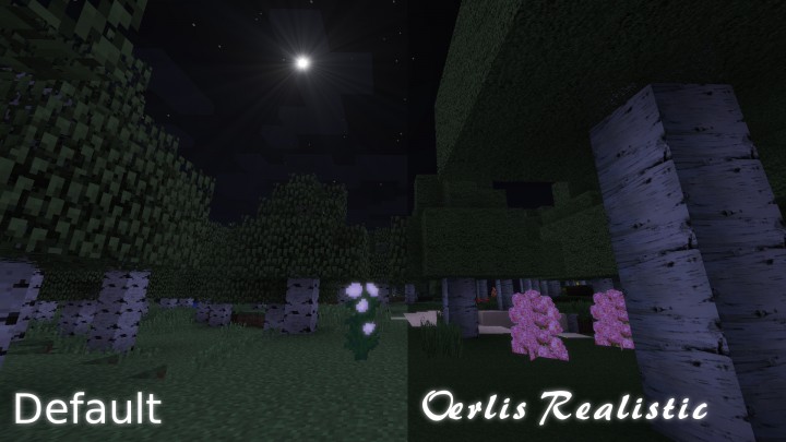 Oerlis-realistic-pack-5.jpg