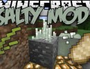 [1.10.2] Salty Mod Download