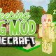 [1.9] Sleeping Bag Mod Download