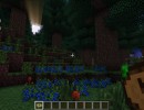 [1.10.2] Nature’s Compass Mod Download