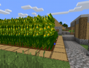 [1.8.9] Simple Corn Mod Download