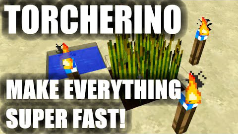 Torcherino-mod-by-tehnut.jpg