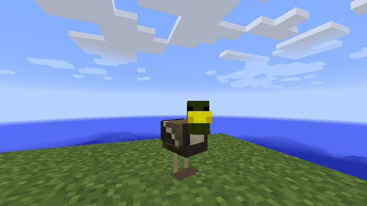 Duck-Craft-1.png