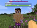 [1.10.2] Vegetita (VEGETTA777) Mod Download